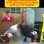 WADSWORTH TEEN SENTENCED TO LIFE WITHOUT PAROLE FOR DEATH OF 98-YEAR-OLD NEIGHBOR