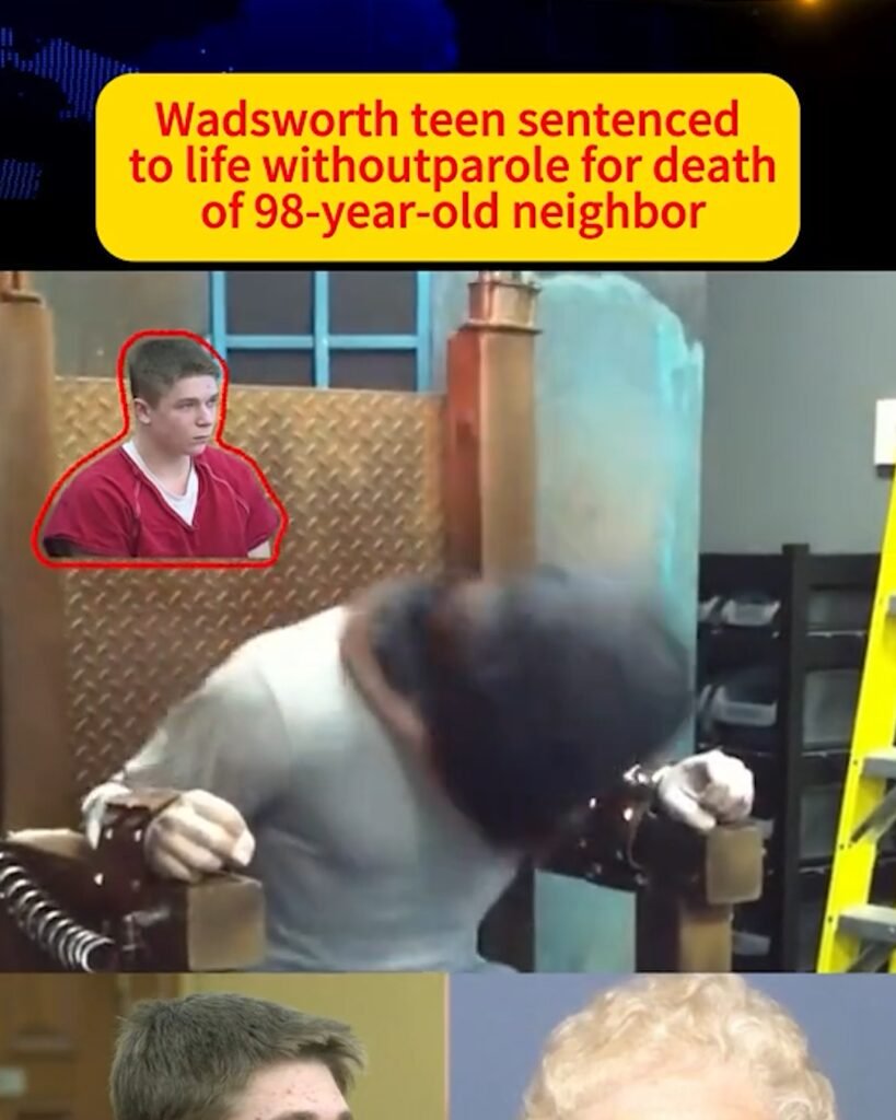 WADSWORTH TEEN SENTENCED TO LIFE WITHOUT PAROLE FOR DEATH OF 98-YEAR-OLD NEIGHBOR