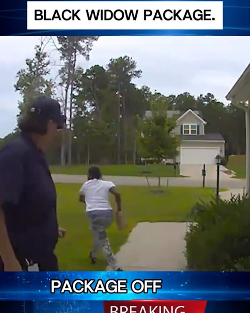 Woman Outsmarts Porch Pirate With Box Full of Spiders