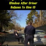 Michigan Cop Shatters Car Window After Driver Refuses to Show ID