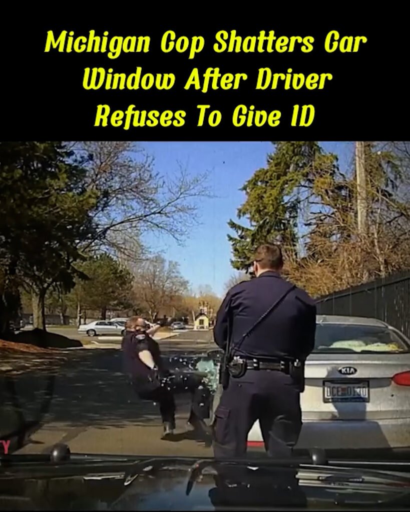 Michigan Cop Shatters Car Window After Driver Refuses to Show ID