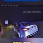 The Worst Attitude to Have After You Crash Your Car PART 2