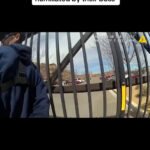 Young Man Cites the Law and Leaves Officers Regretting Their Approach