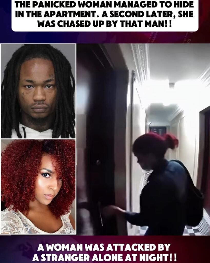 The Panicked Woman Managed to Hide in the Apartment — A Second Later, She Was Chased Up by That Man