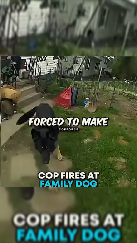 Cop Fires at Family Dog