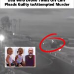 Dad who drove twins off cliff pleads guilty to attempted murder