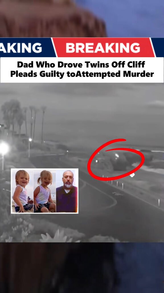 Dad who drove twins off cliff pleads guilty to attempted murder