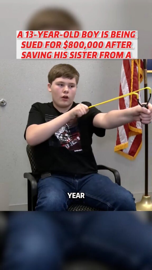 A 13-year-old boy is being sued for $800,000 after saving his sister from a slingshot