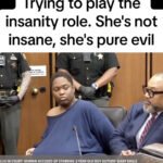 Woman Who Stabbed a 3-Year-Old Repeatedly Tries to Play the Insanity Role in Court