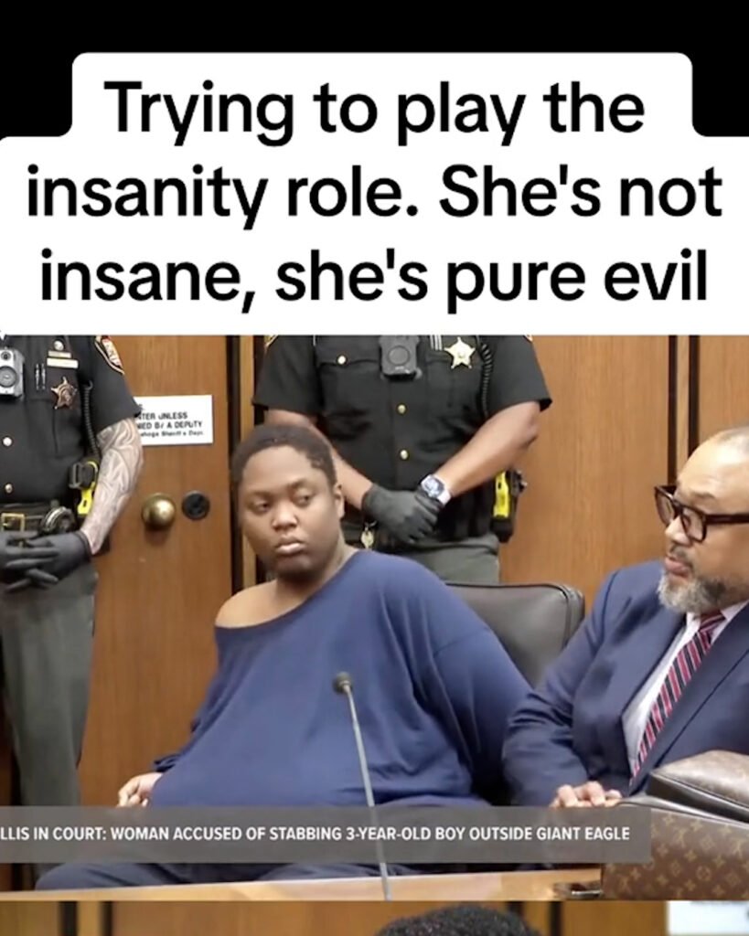 Woman Who Stabbed a 3-Year-Old Repeatedly Tries to Play the Insanity Role in Court