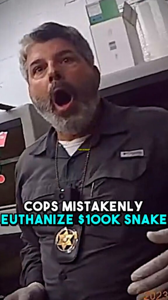Cops Mistakenly Euthanize $100K Snake!