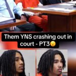 Them YNS Crashing Out in Court