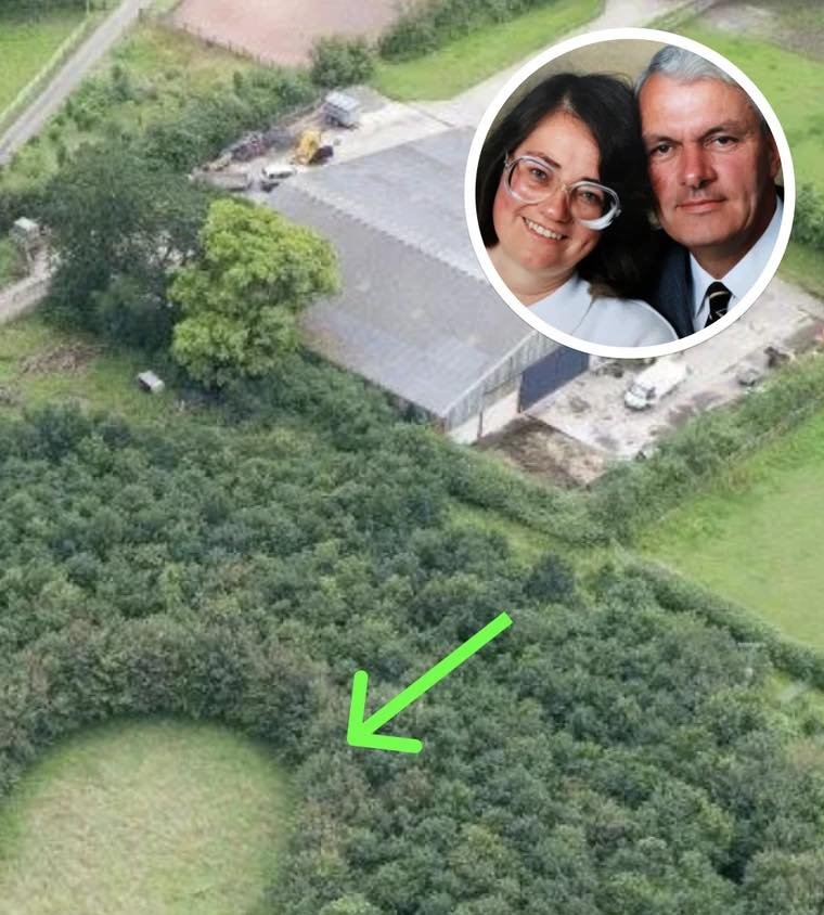Husband Plants 6,000 Trees To Honor Deceased Wife, 15 Years Later Photos Reveal His True Motive