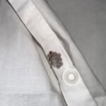 A Shocking Discovery in My Bed Turned Into a Wake-Up Call About Hidden Home Dangers