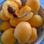 This Simple Homemade Jam Recipe Turns Everyday Fruit Into a Lasting Favorite!