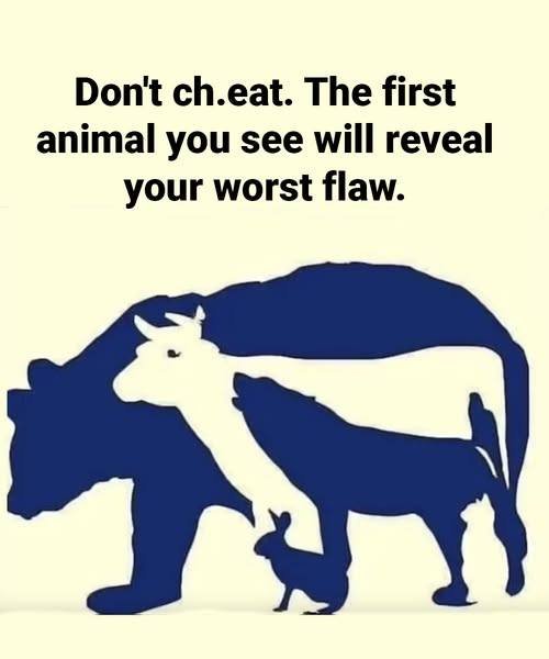 This Test Will Reveal Your “Worst Flaw” Based on the First Animal You See