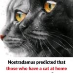 The Surprising Spiritual Meaning of Your Cat: Did Nostradamus Leave Us a Clue?