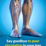 The best vitamin to eliminate poor circulation in legs and feet has surprised many health experts.