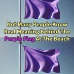 Why You Might See a Purple Flag Flying at the Beach