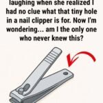 That Small Hole in Your Nail Clipper Isn’t Decorative — Here’s Why It Exists