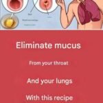 Why Mucus Builds Up in the Lungs — And the Simple Habits That Can Help Ease It