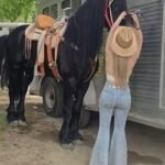 A Husband Receives a Mysterious Photo From His Wife — What Followed Changed Everything