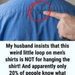 The Quiet Story Behind the Small Loop on the Back of Button-Down Shirts