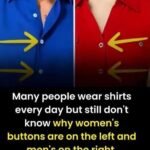 Why Women’s Shirts Button on the Opposite Side – A Detail Rooted in History, Not Fashion