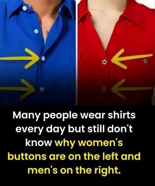 Why Women’s Shirts Button on the Opposite Side – A Detail Rooted in History, Not Fashion