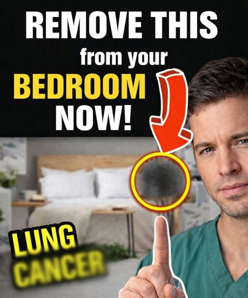 The Everyday Objects in Your Home You Rarely Question — But Probably Should