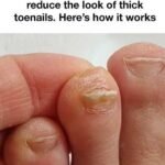 “Thank You, Grandma”: The Recipe That Lives in Memory as Much as in the Kitchen