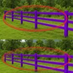 If You See a Painted Purple Fence, This Is What It Really Means (And Why You Should Never Ignore It)