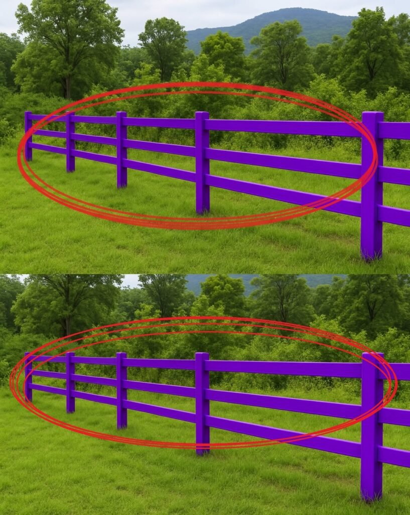 If You See a Painted Purple Fence, This Is What It Really Means (And Why You Should Never Ignore It)