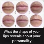 Can Your Personality Really Be Read From Your Lips? The Surprising Claims and What to Make of Them