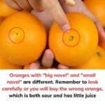 Oranges With Big Navels vs. Small Navels: What’s the Real Difference?