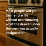The Secret Kitchen Compartment Most People Never Use — And What It Was Actually Made For