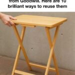 10 Clever Ways to Reuse Goodwill Trays and Give Them New Life