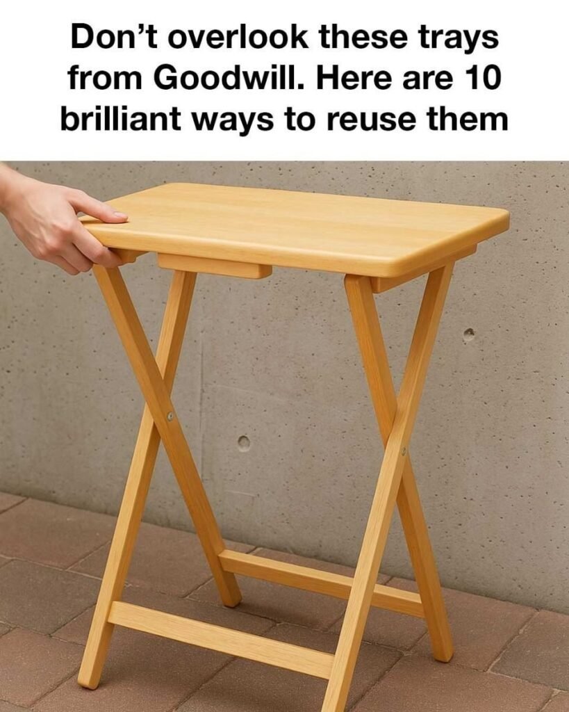 10 Clever Ways to Reuse Goodwill Trays and Give Them New Life