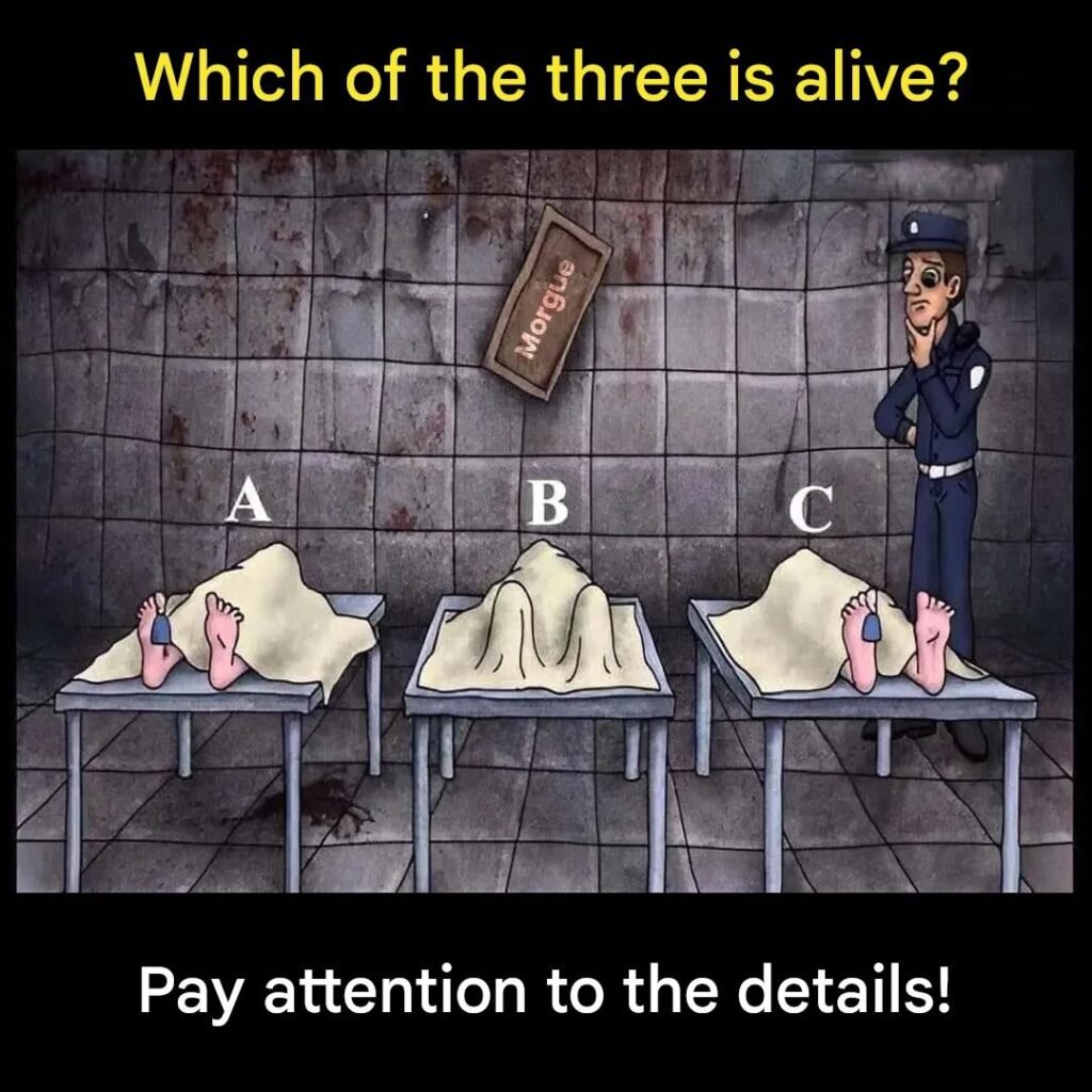 The Puzzle That Makes People Stop Scrolling — And Question What They Think They Know