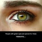 What Green Eyes Have Always Quietly Symbolized in Different Cultures