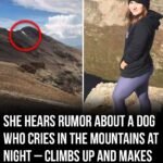 How a Nighttime Search in the Mountains Led to an Unexpected Discovery