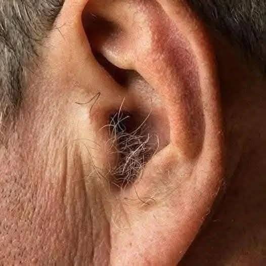 Why Ear Hair Appears With Age — And Why It’s Completely Normal