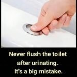 The Small Bathroom Habit That Can Quietly Cut Your Water Bill in Half