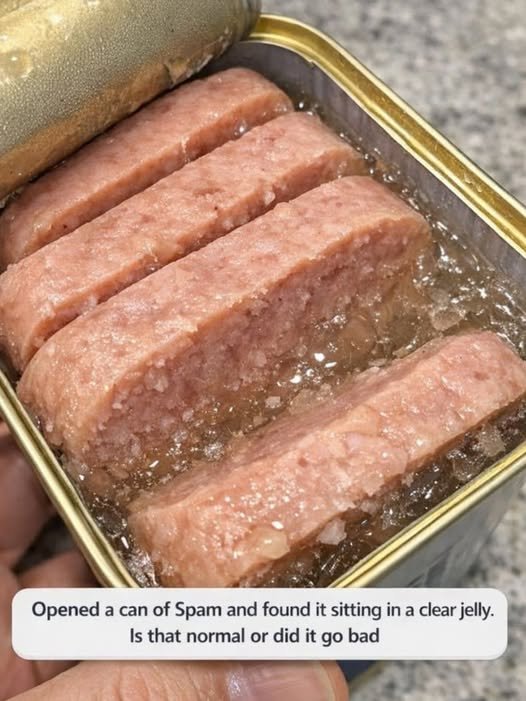 What That Clear Jelly in a Can of Spam Really Means — And When It Matters