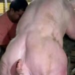 What a Young Man’s Sudden Hospitalization Reveals About Hidden Health Risks