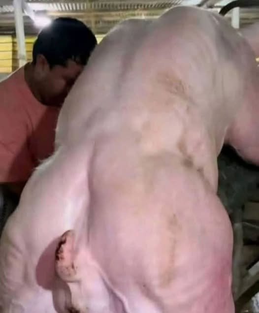 What a Young Man’s Sudden Hospitalization Reveals About Hidden Health Risks