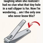 That Little Round Hole on Nail Clippers Isn’t Just Decoration — Here’s What It Really Does