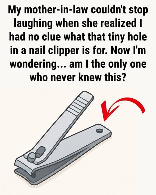 That Little Round Hole on Nail Clippers Isn’t Just Decoration — Here’s What It Really Does