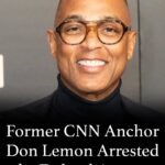 Inside the Federal Reports Surrounding Don Lemon: What’s Known, What’s Alleged, and Why It Matters