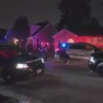 Why This Ordinary Moment Turned Into an Extraordinary Story — And Why So Many People Are Talking About It